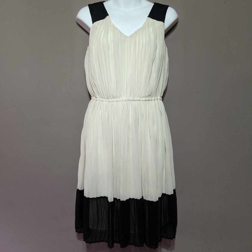 White and Black Pleated Dress